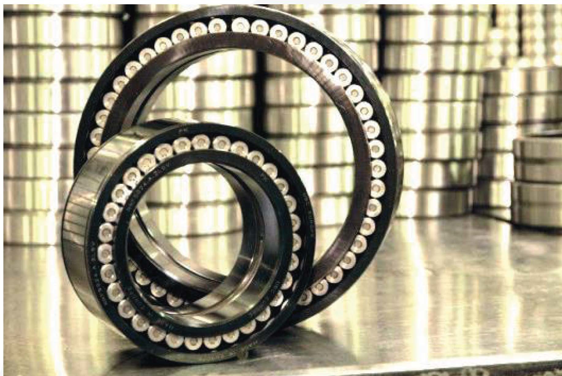 Special cylindrical roller bearing (with black oxide treatment)