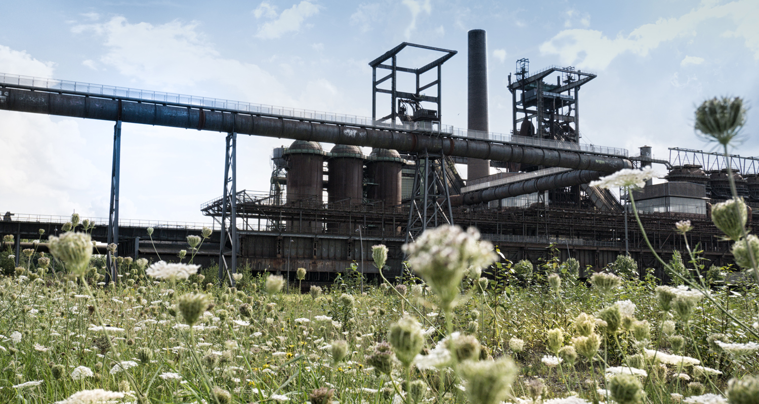 Mills
